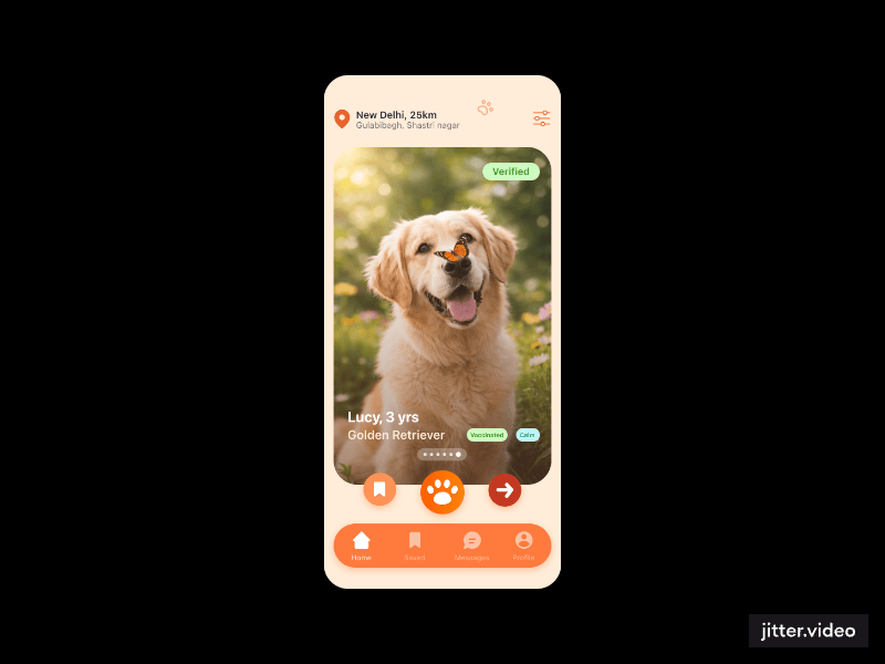 TailMate discover surface - animated preview of a swipeable pet profile card with verification, location and vaccination signals.